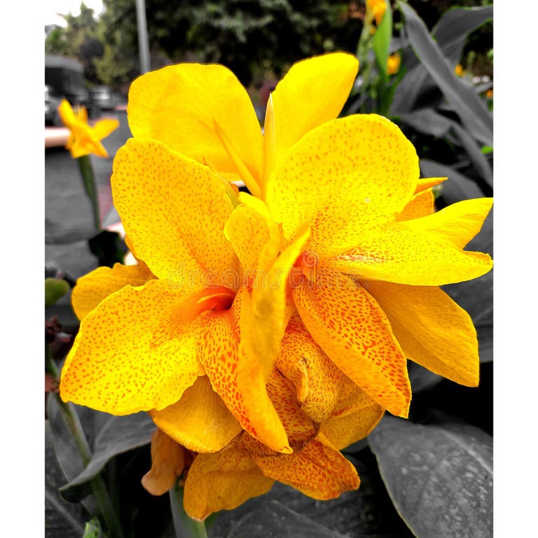 Find 2026 Chevrolet Silverado EV Tires | Goodyear Canada Tires